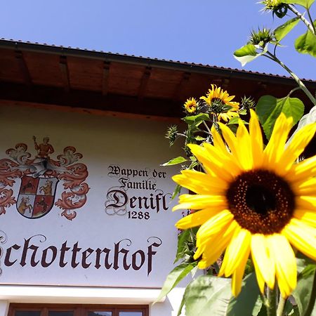 Schottenhof ฟูลป์เมส ภายนอก รูปภาพ